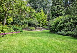 Optimiser l'expérience du jardin à Longroy